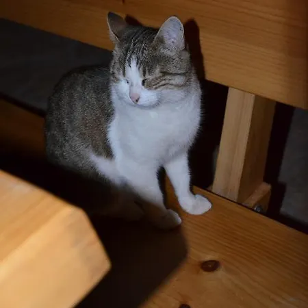 Apartmenthaus Sabine Apartman *