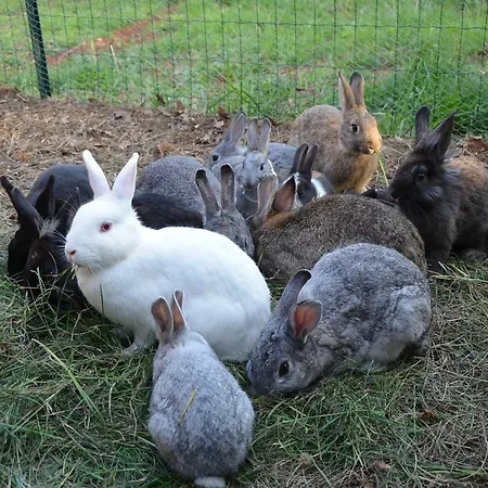 アパート Apartmenthaus Sabine *