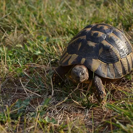 Apartmenthaus Sabine Apartament *